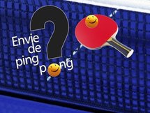Un site Internet pour la promotion du Ping !
