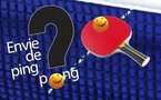 Un site Internet pour la promotion du Ping !