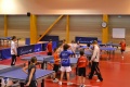 Stage Janvier 2013 Stage Janvier 2013
