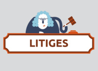 LITIGE JOURNEE 1 LITIGE JOURNEE 1