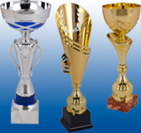 Individuels vétérans Individuels vétérans