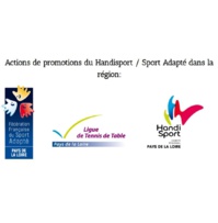 Développement du sport adapté dans les clubs Développement du sport adapté dans les clubs