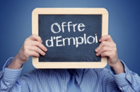 Ligue : Offre d'emploi