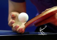 Poule Cht Féminin Ph2 Poule Cht Féminin Ph2