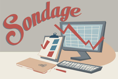 Grande enquête de satisfaction du site internet du Comité Grande enquête de satisfaction du site internet du Comité