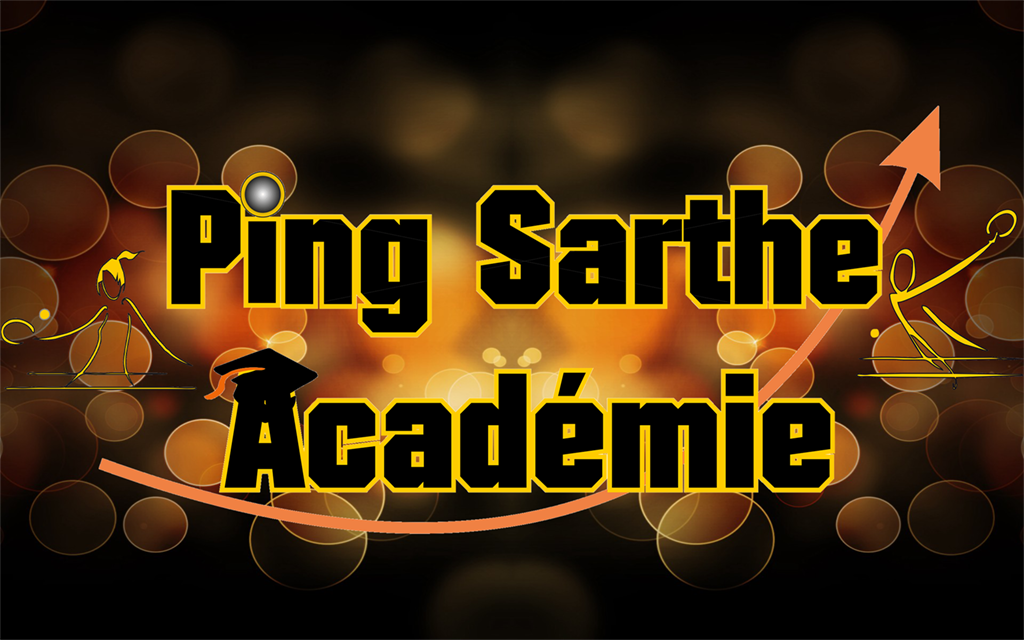 Groupe Ping Sarthe Académy 2017/2018 Groupe Ping Sarthe Académy 2017/2018