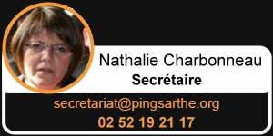 Titres par équipes