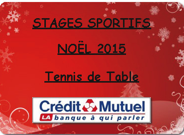 Stage Tennis de Table Noël