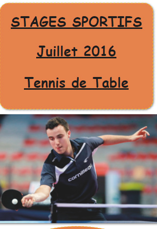 Stages Tennis de Table Eté Stages Tennis de Table Eté