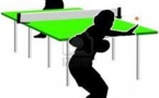 TOURNOI REGIONAL DE VENDEE TOURNOI REGIONAL DE VENDEE