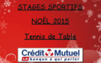 Stage Tennis de Table Noël Stage Tennis de Table Noël