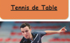 Stages Tennis de Table Eté Stages Tennis de Table Eté