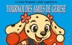 Tournoi Féminin "Les Amies de Gérèse" - Le Lude Vendredi 22 Mai