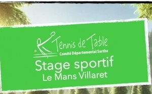 Stage ping Adulte